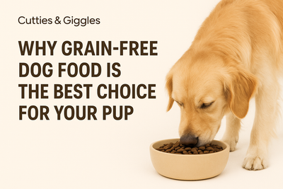 Why Grain-Free Dog Food is the Best Choice for Your Pup