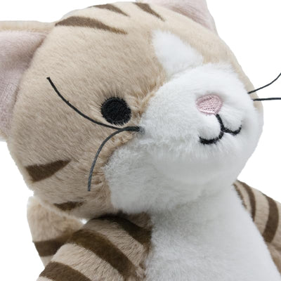 Soft Plush Teddy Bear