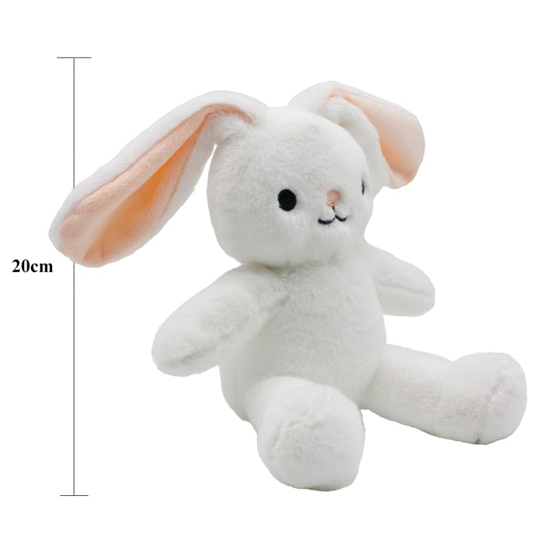 Soft Plush Teddy Bear