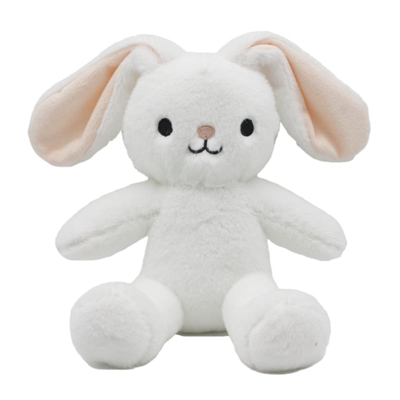 Soft Plush Teddy Bear