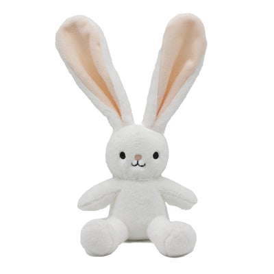 Soft Plush Teddy Bear