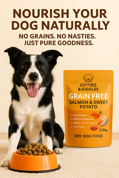 Grain-Free Salmon & Sweet Potato Dry Dog Food 2.5kg
