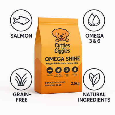 Grain-Free Salmon & Sweet Potato Dry Dog Food 2.5kg