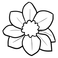 ORANGENBLÜTE