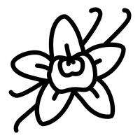 VANILLE